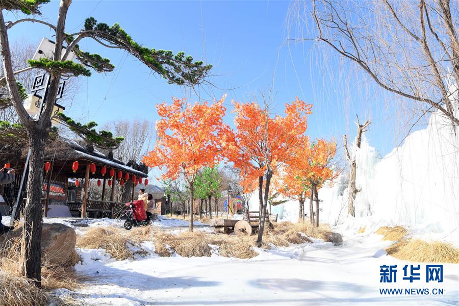 (社會)(5)“天津后花園”喜慶迎春節