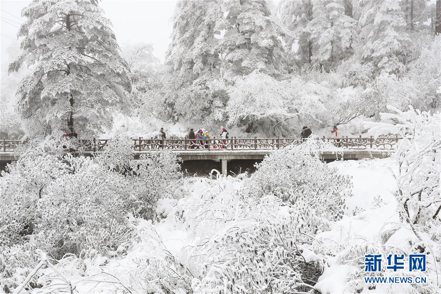 (社會)(7)暢游冰雪瓦屋山
