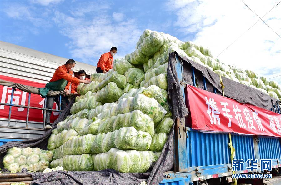 (聚焦疫情防控)(3)600噸福建蔬菜馳援武漢
