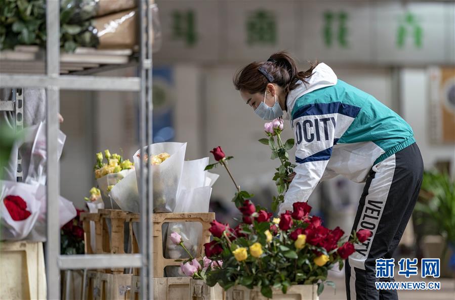 （經濟）（2）亞洲最大鮮切花交易市場逐步恢復正常營業