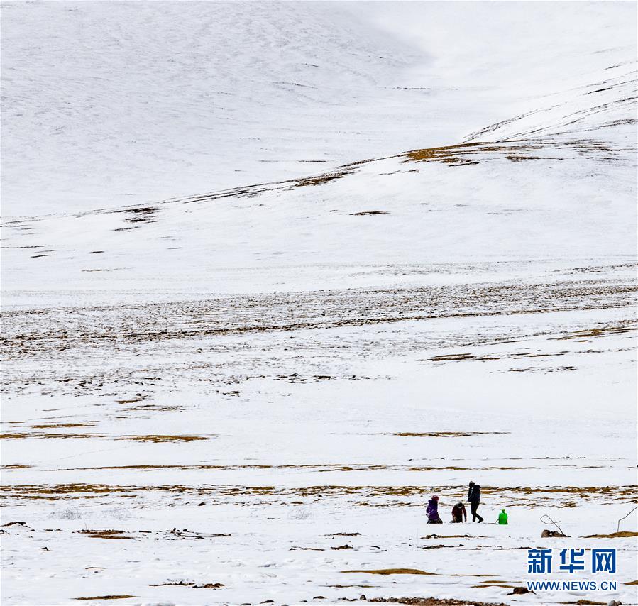 (新華視界)(2)藏北雪景