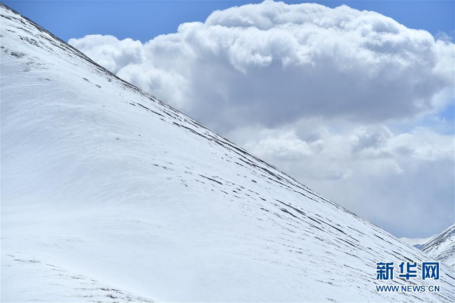 (新華視界)(1)藏北雪景