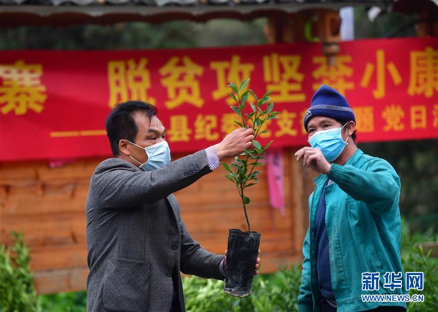 (社會)(4)愛心送苗助春耕