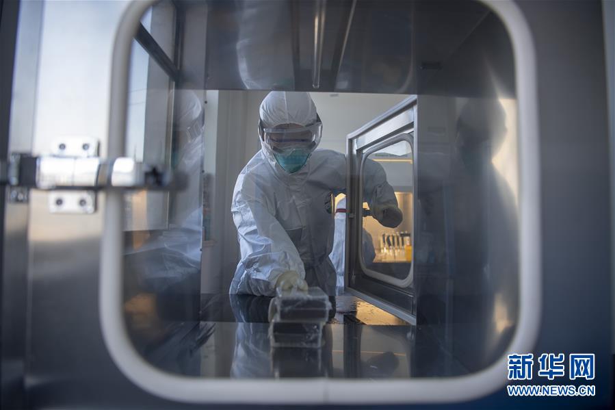 （聚焦疫情防控·圖片故事）（14）“90后”檢驗員張慧變的防疫故事