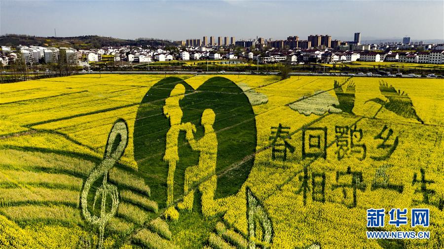 (環境)(9)陜西洋縣:油菜花開美如畫