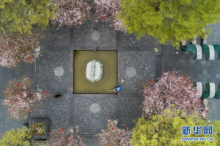#(社會(huì))(5)四川全省開展“周末衛(wèi)生大掃除”活動(dòng)