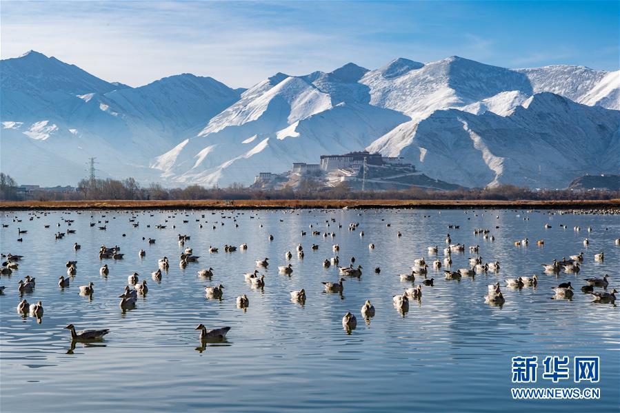 (美麗中國)(5)布宮雪景