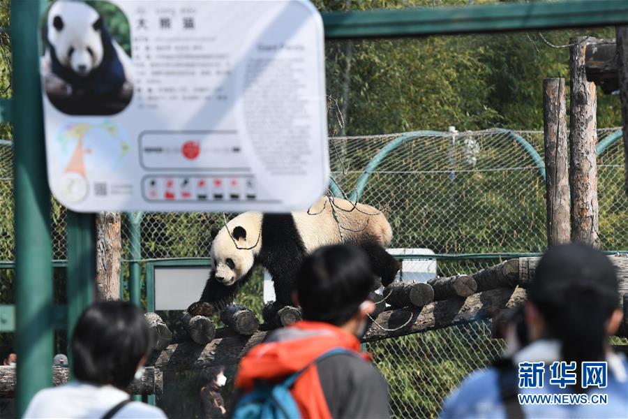 (社會)(3)北京動物園恢復(fù)開園