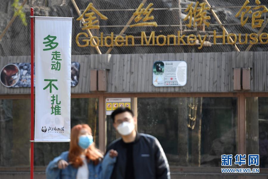 (社會)(2)北京動物園恢復(fù)開園