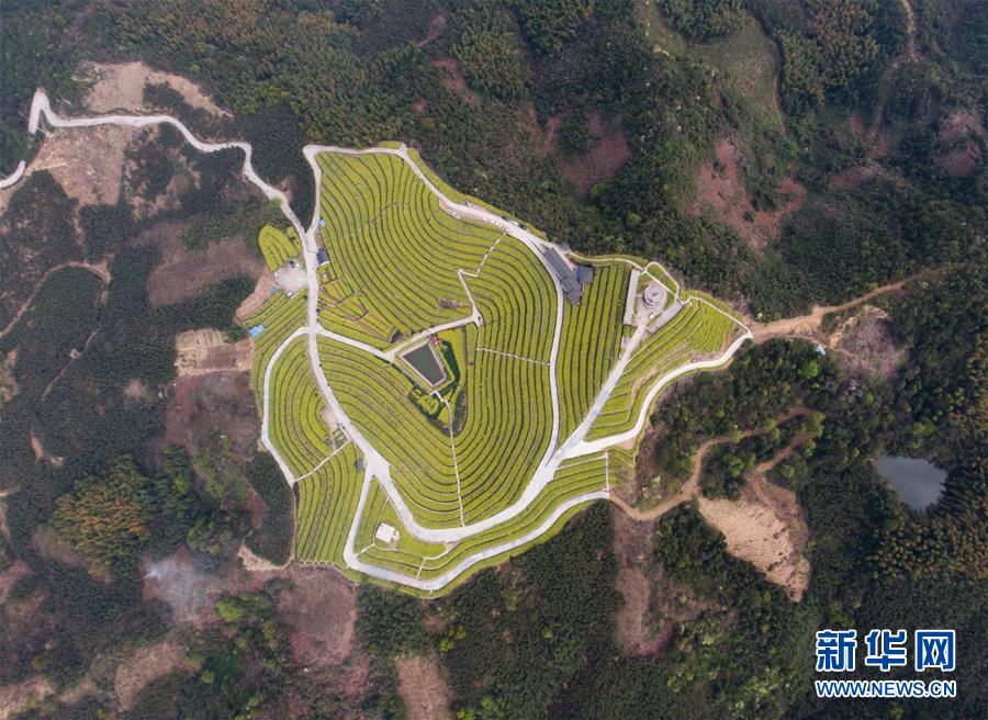 (美麗中國)(5)鄉(xiāng)村旅游漸升溫 山頂春色迎客來