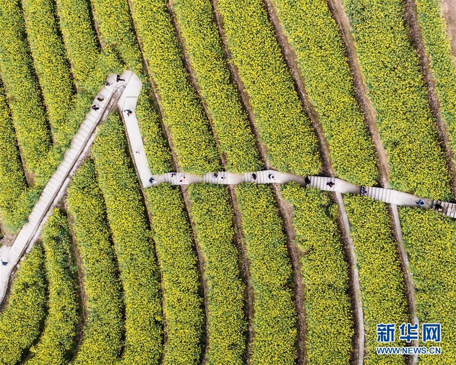 (美麗中國)(2)鄉(xiāng)村旅游漸升溫 山頂春色迎客來