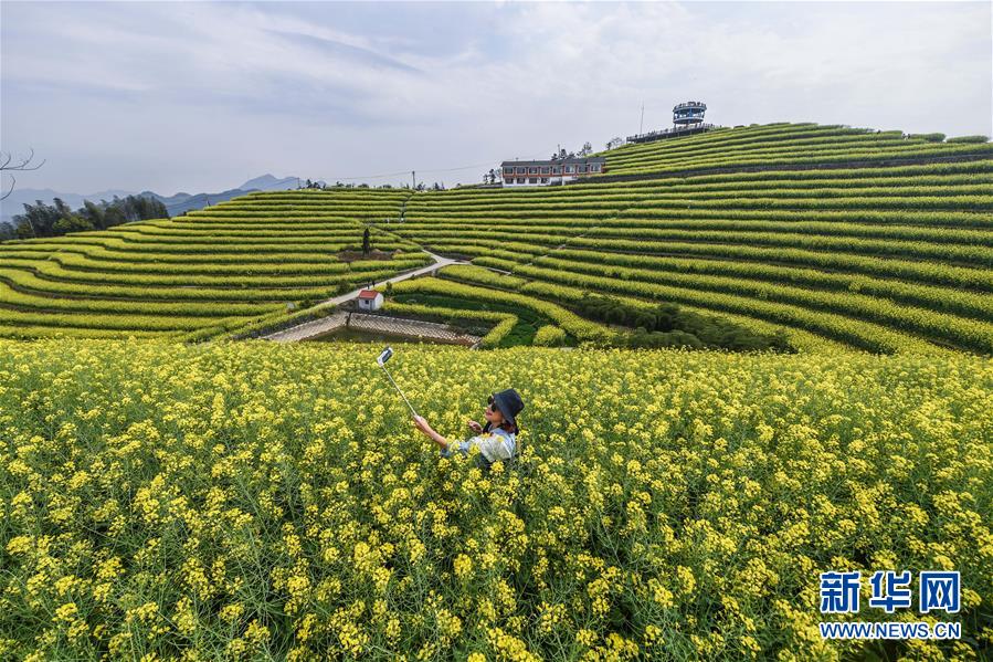(美麗中國)(4)鄉(xiāng)村旅游漸升溫 山頂春色迎客來