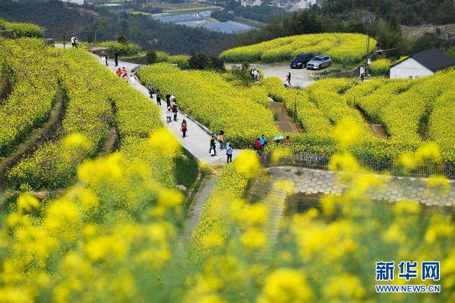 (美麗中國)(1)鄉(xiāng)村旅游漸升溫 山頂春色迎客來