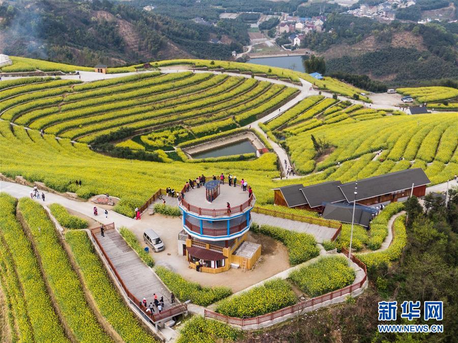 (美麗中國)(7)鄉(xiāng)村旅游漸升溫 山頂春色迎客來