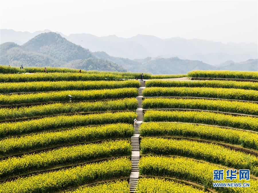 (美麗中國)(6)鄉(xiāng)村旅游漸升溫 山頂春色迎客來