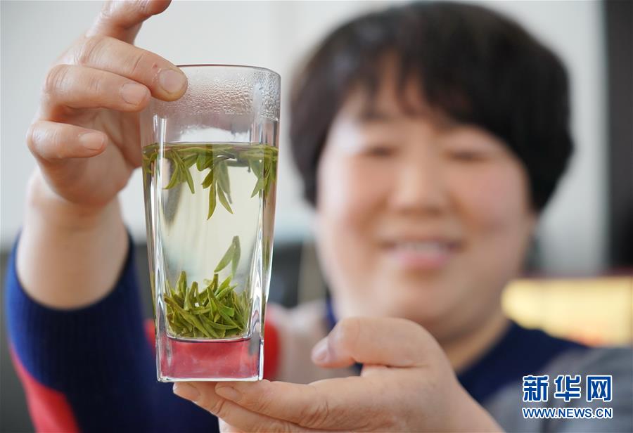 (經濟)(4)“南茶北移”香飄太行