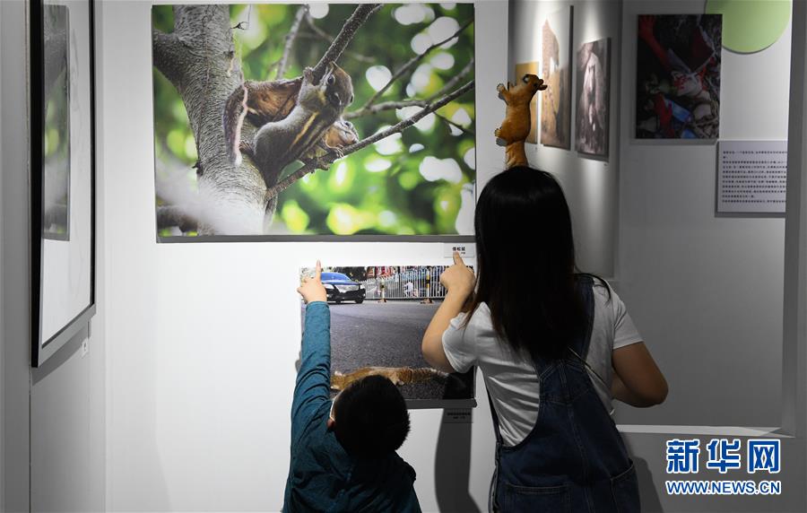（文化）（2）“野生·WILD”影像展海口開展