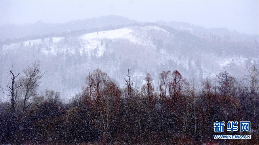 （圖文互動）（2）黑龍江漠河：谷雨節(jié)氣迎來大雪