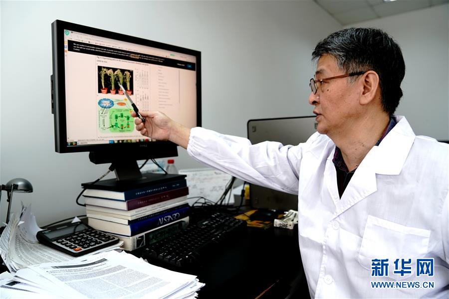 （圖文互動）（1）應對全球變暖下糧食安全挑戰 我國科學家獨辟蹊徑獲突破性進展