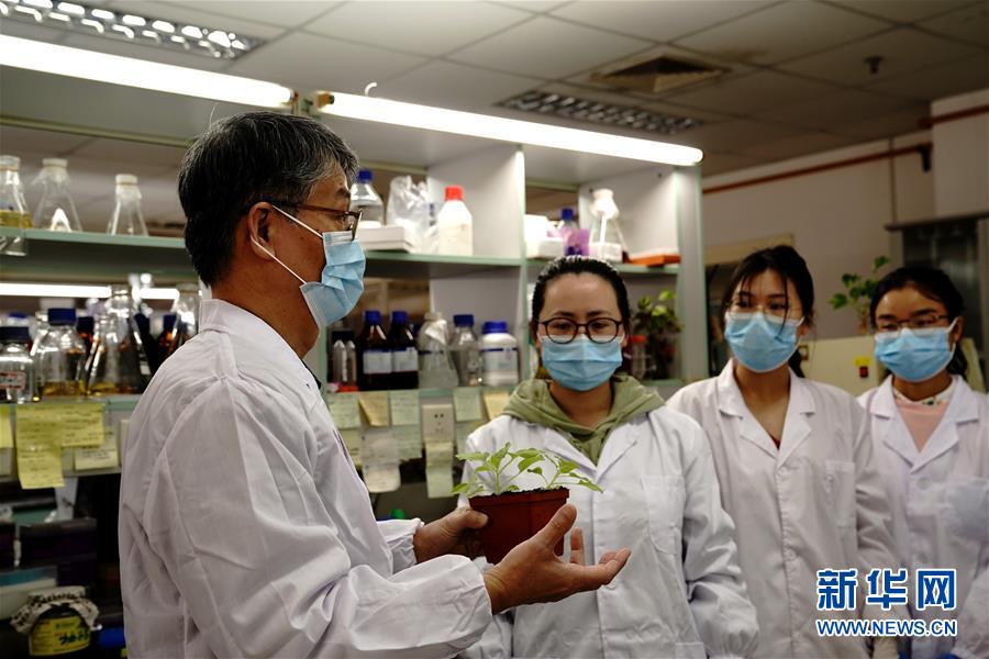 （圖文互動）（6）應對全球變暖下糧食安全挑戰 我國科學家獨辟蹊徑獲突破性進展
