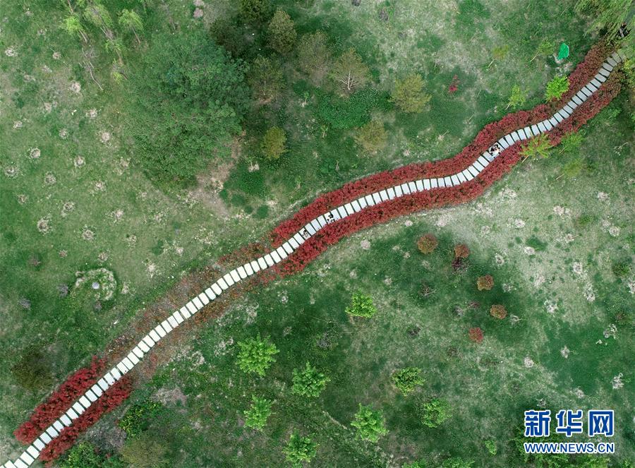 (環境)(2)陜西咸陽:渭河之濱打造生態景區