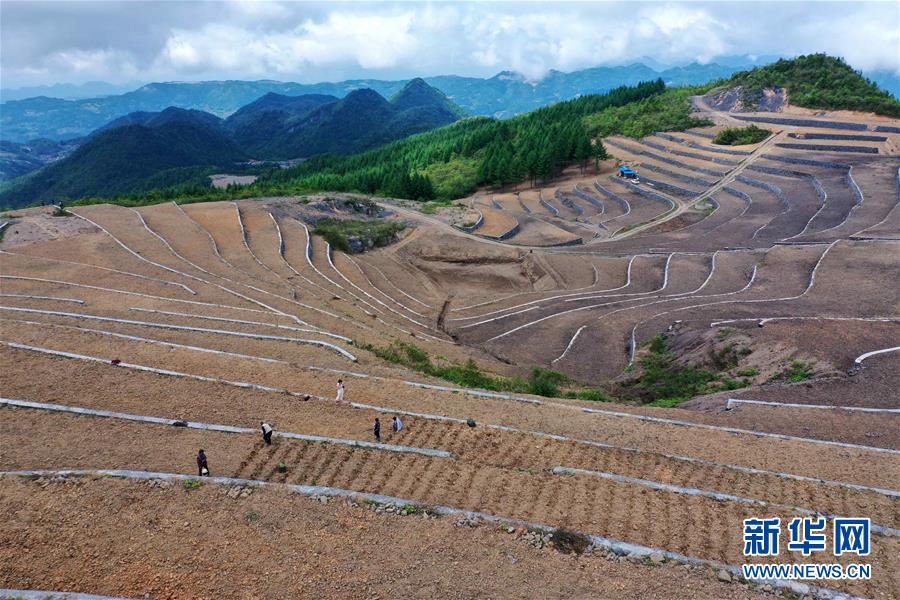 #(經濟)(4)湖北宣恩:土苗山鄉田園新景致