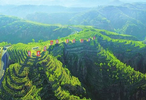 山西:林業(yè)生態(tài)扶貧為貧困戶打造“綠色銀行”