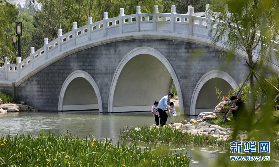 (環(huán)境)(3)為城市添綠 為市民遮蔭