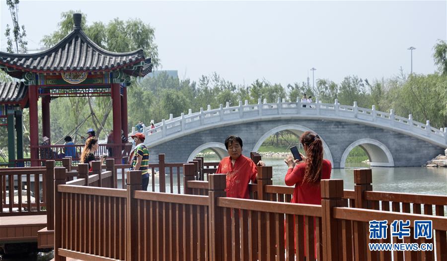 (環(huán)境)(2)為城市添綠 為市民遮蔭
