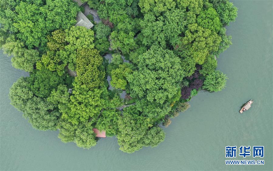 (環境)(5)西湖初夏