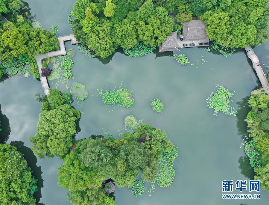 (環境)(4)西湖初夏