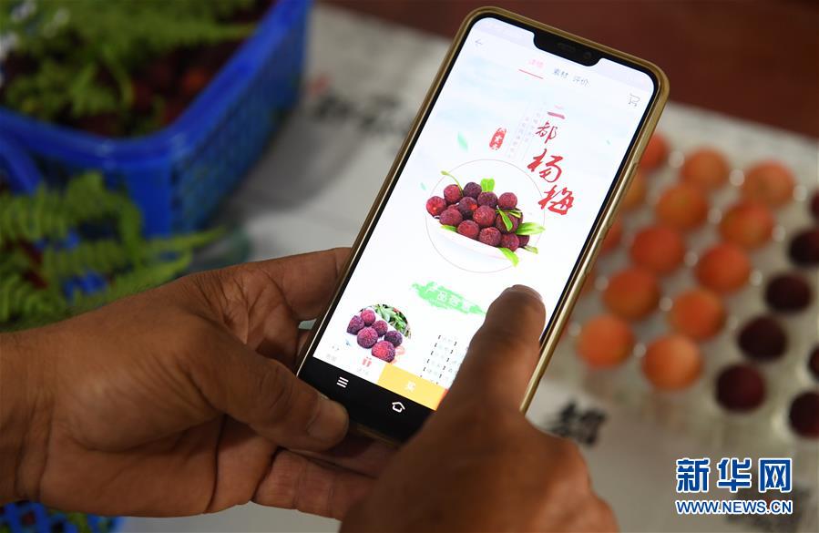(經(jīng)濟)(4)浙江上虞:二都楊梅開采