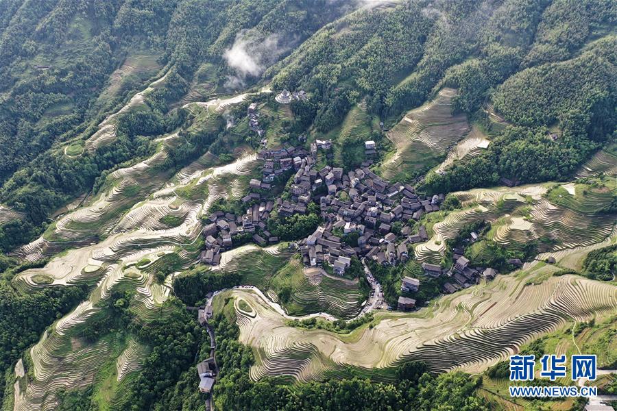 (環境)(6)廣西龍勝:夏日龍脊景色迷人