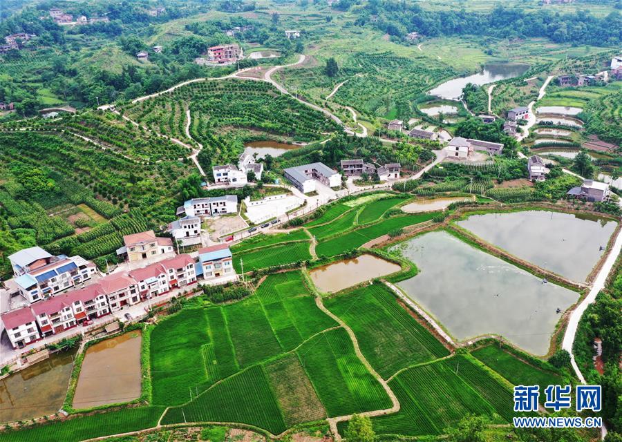 (新華視界)(3)重慶:夏日山鄉(xiāng)美