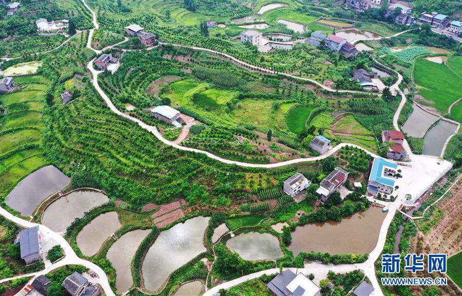 (新華視界)(2)重慶:夏日山鄉(xiāng)美