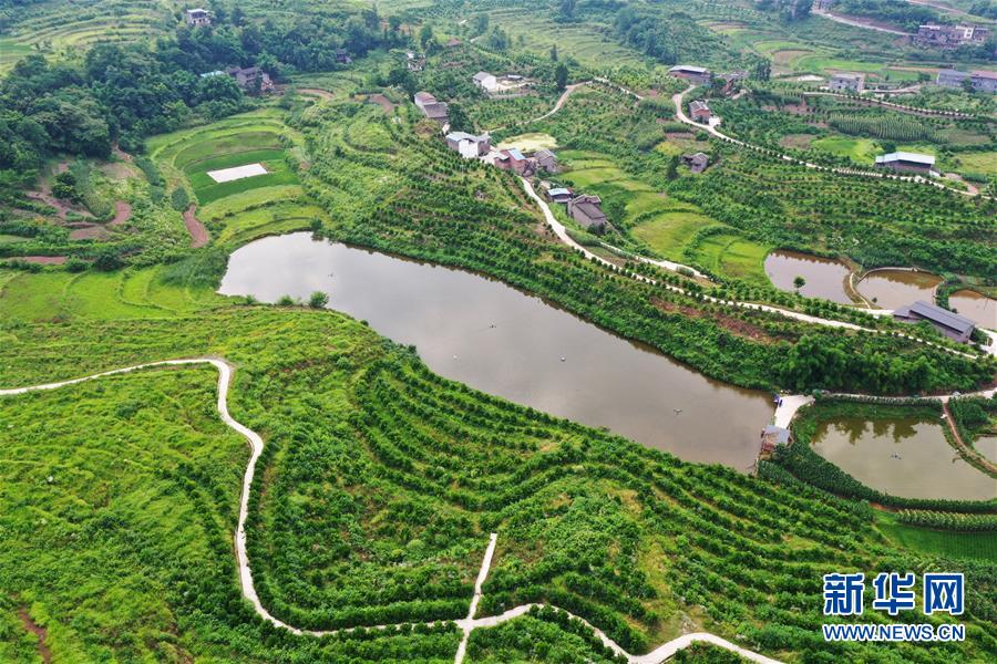 (新華視界)(4)重慶:夏日山鄉(xiāng)美