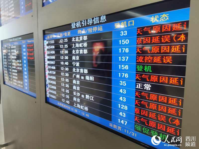 成都雙流機(jī)場(chǎng)今日已取消航班234個(gè)。成都雙流機(jī)場(chǎng)供圖
