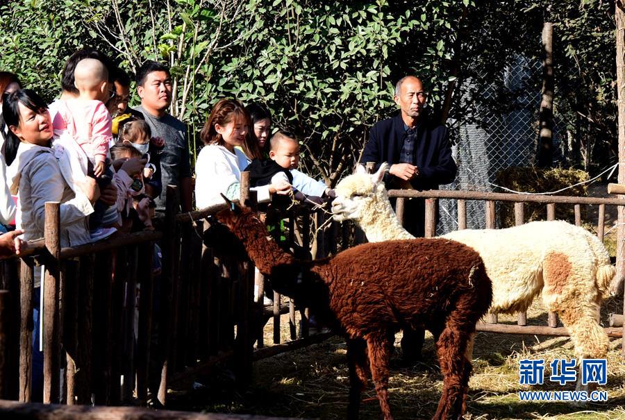 （新華視界）（2）“親近動物”樂趣多