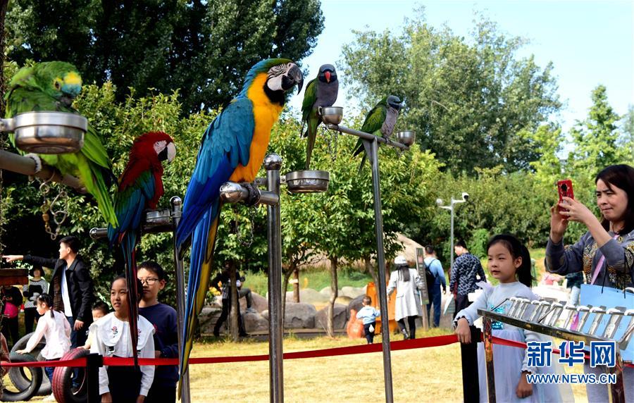 （新華視界）（3）“親近動物”樂趣多