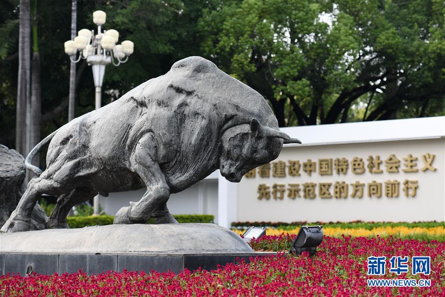 （新華全媒頭條·圖文互動）（9）創造新時代中國特色社會主義的更大奇跡——以習近平同志為核心的黨中央關心經濟特區發展紀實