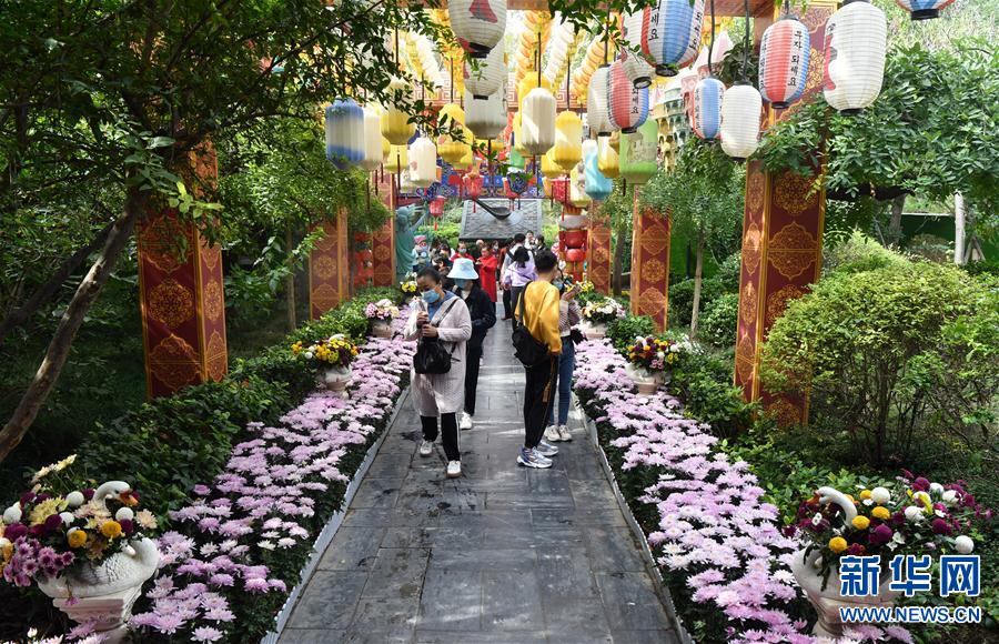 （文化）（3）河南開封：古城菊香迎客來(lái)