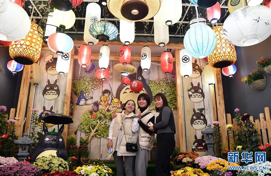 （文化）（2）河南開封：古城菊香迎客來(lái)