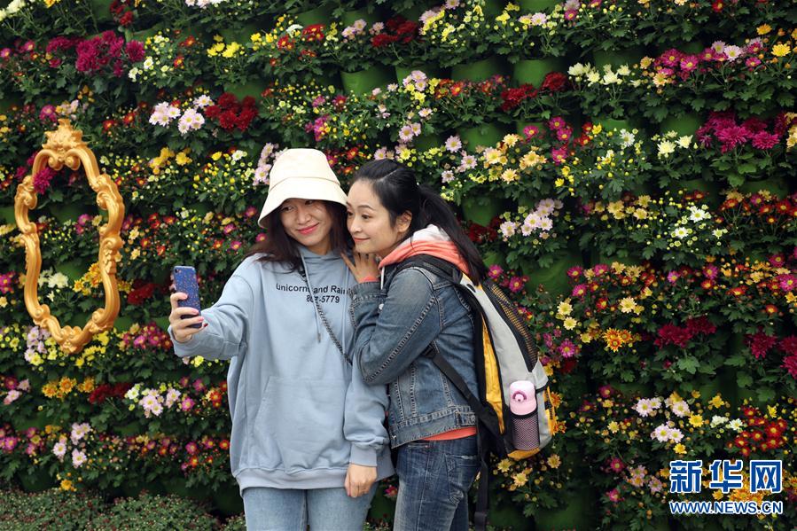 （新華視界）（7）河南開封：古城菊香迎客來(lái)