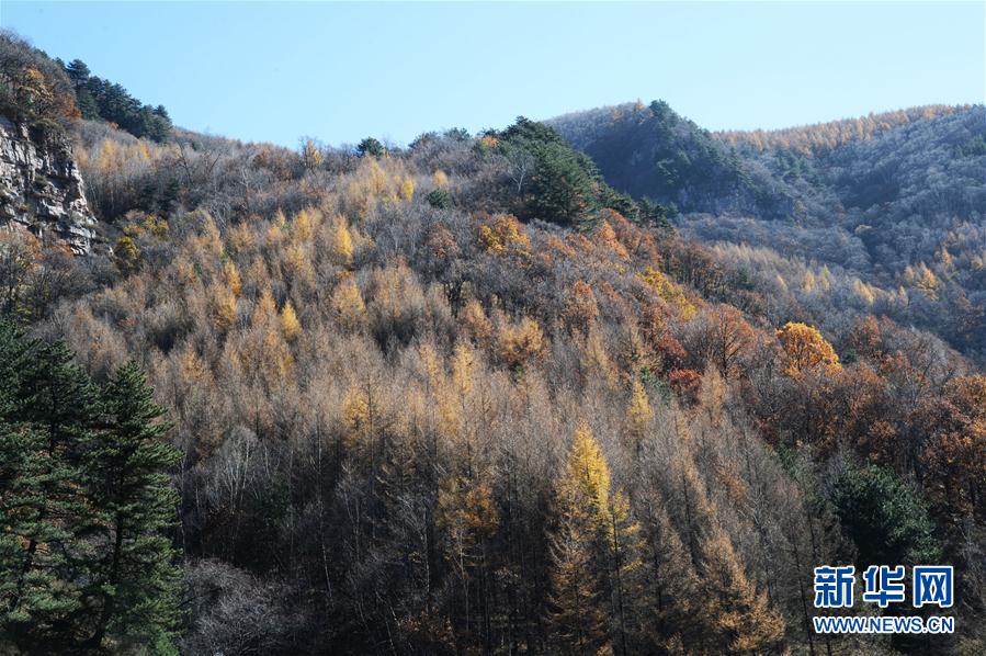 （環境）（2）山西霍州：山林“調色板”