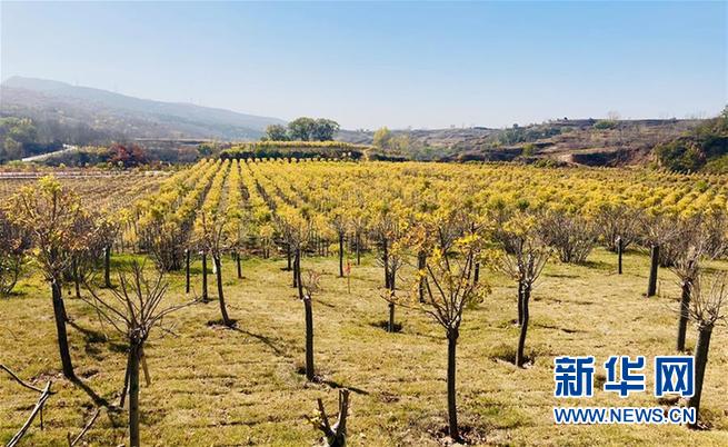 （決戰(zhàn)決勝脫貧攻堅(jiān)·圖文互動(dòng)）（4）太行畫廊里的脫貧“黃金谷”