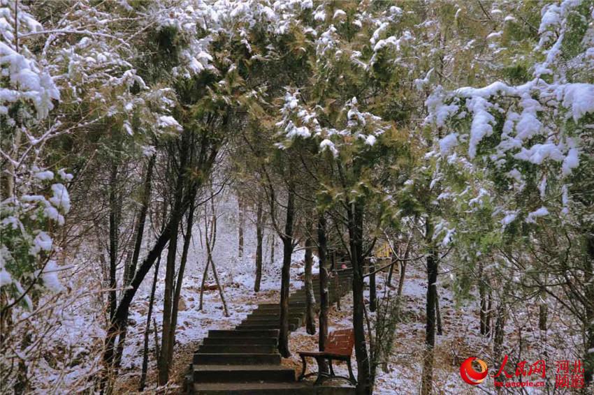 11月19日河北省承德市興隆縣北山公園雪景。宋佳寧攝