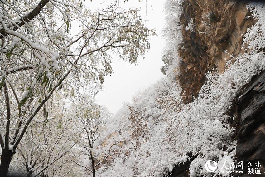 河北省邢臺市云夢山雪景。 燕立濤攝