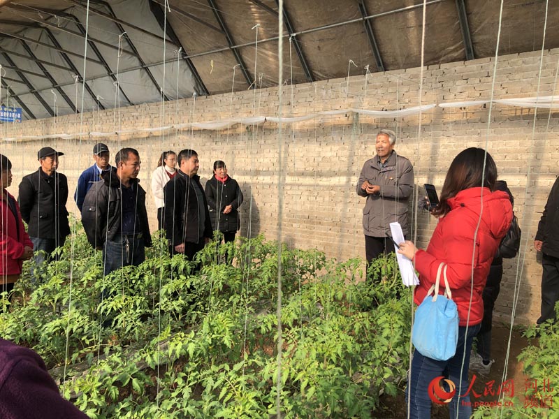 十九屆五中全會精神義務宣講員在蔬菜大棚里進行宣講。 蒿俊林攝