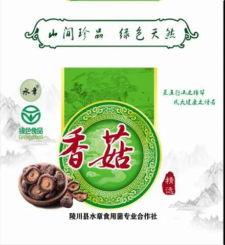 【秀村播帶貨】奪火鄉水章食用菌