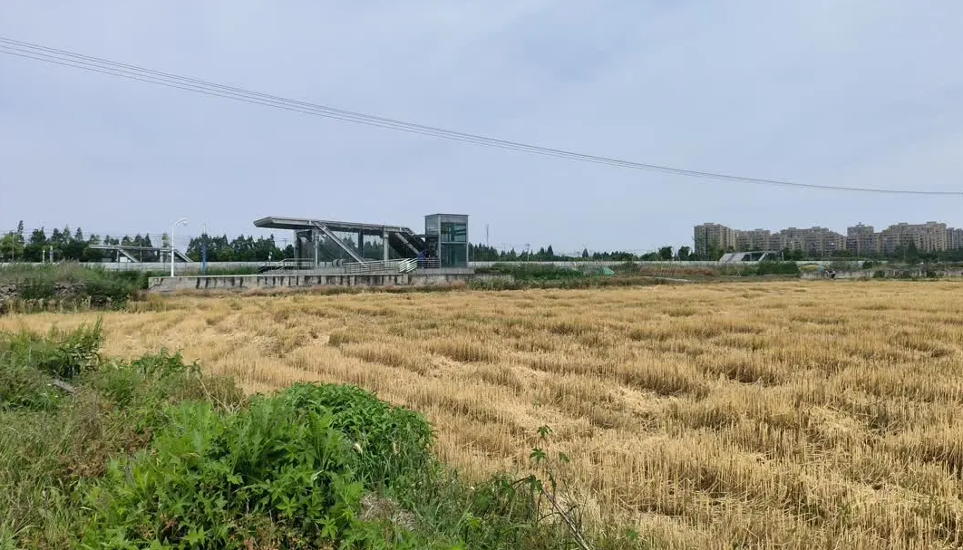 投資約2億元建設的地鐵站成“孤島”：建在基本農田里，乘車繞行近3公里